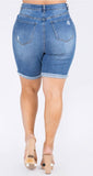 Whitney Distressed Denim Shorts